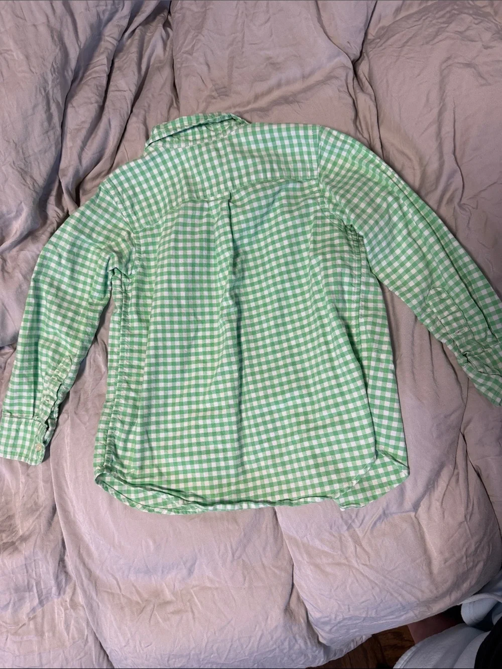 Ralph Lauren Light Green Gingham Button-Down Shirt for Kids